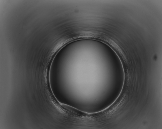 X0000097960842200804011656