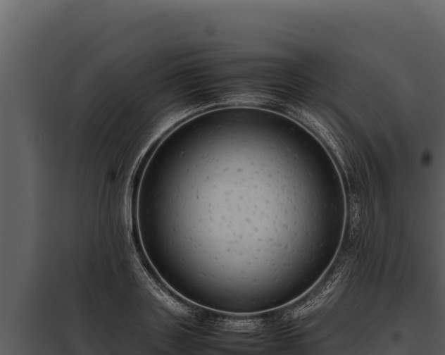 X0000097960843200804011656
