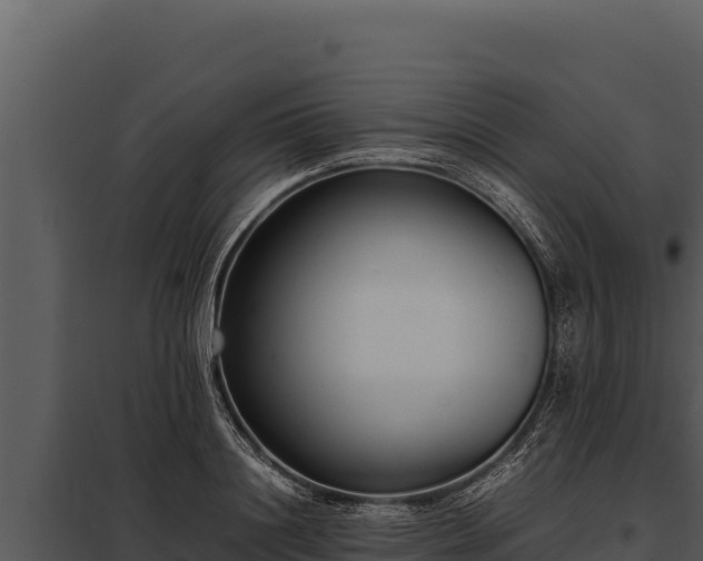 X0000097960844200804011656