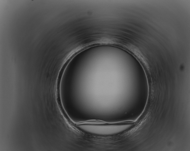 X0000097960845200804011656