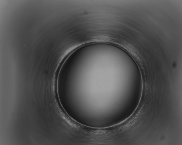 X0000097960846200804011656