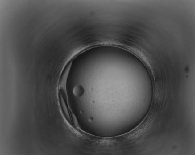X0000097960847200804011656