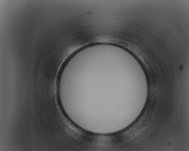 X0000097960848200804011656