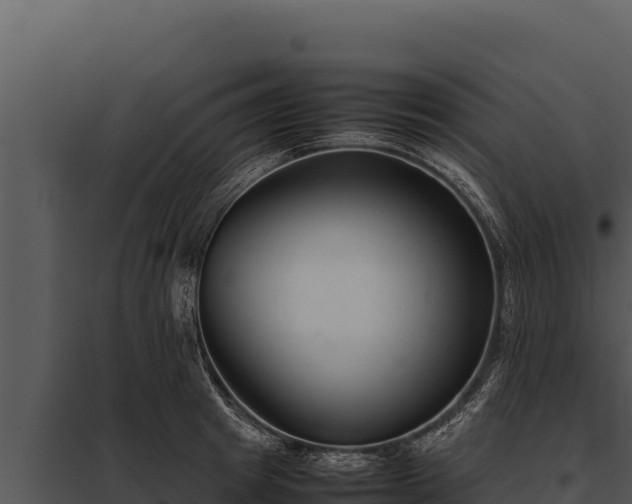 X0000097960849200804011656