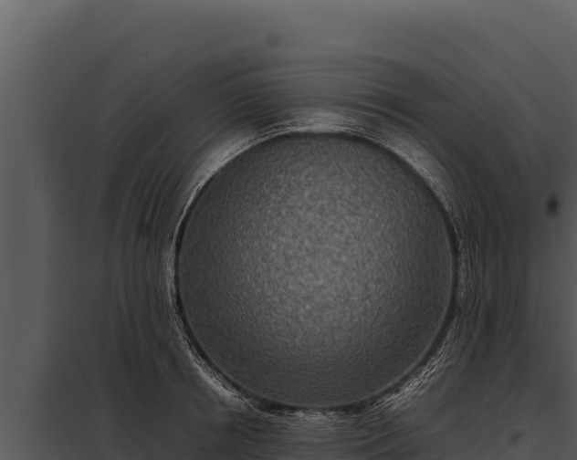 X0000097960850200804011656