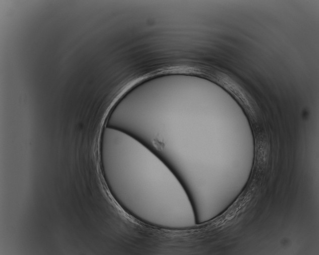 X0000097960852200804011656