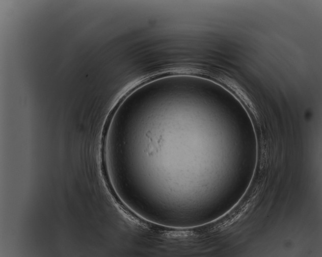 X0000097960853200804011656