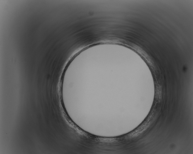 X0000097960856200804011656