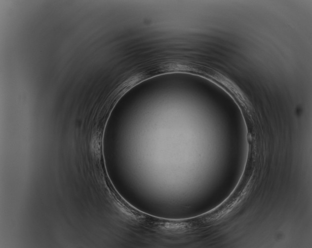 X0000097960857200804011656