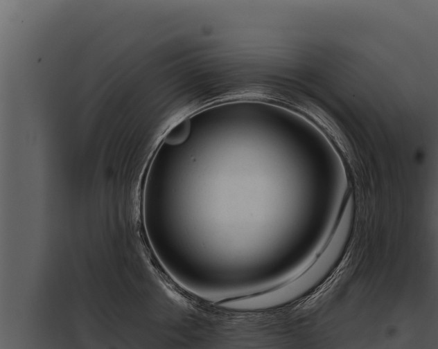 X0000097960858200804011656