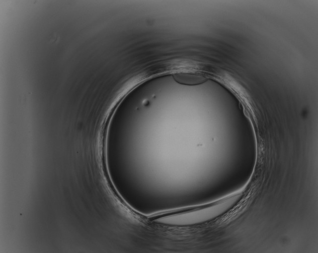 X0000097960859200804011656