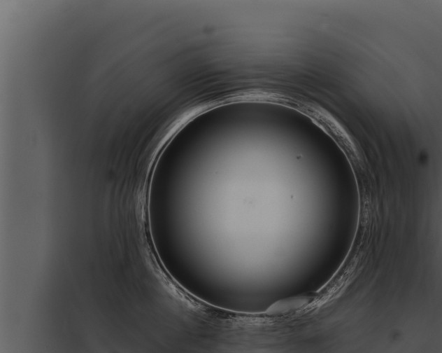 X0000097960860200804011656