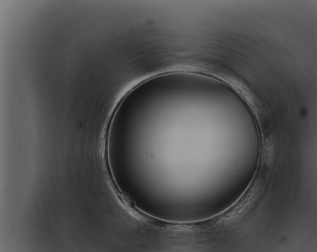 X0000097960862200804011656