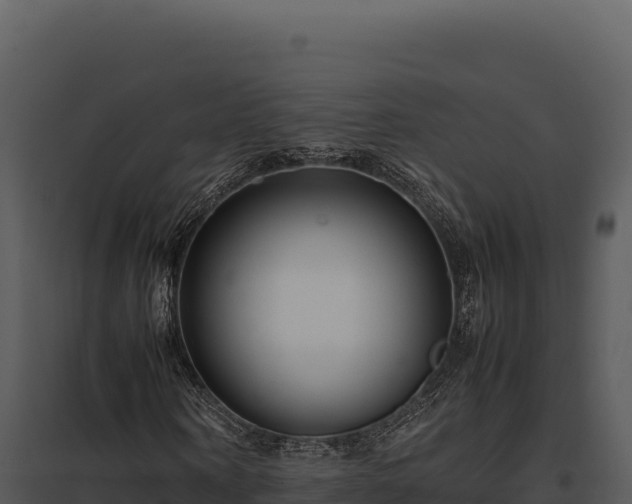X0000097960866200804011655