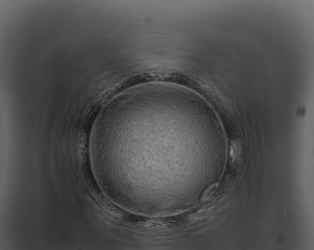 X0000097960867200804011655