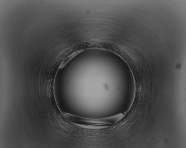 X0000097960868200804011655