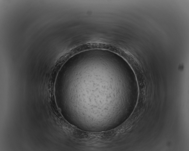 X0000097960870200804011655