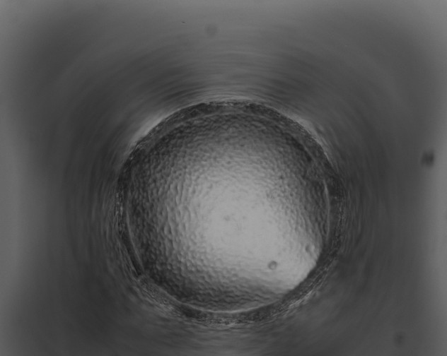 X0000097960871200804011655