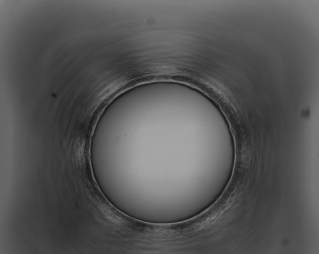 X0000097960873200804011655