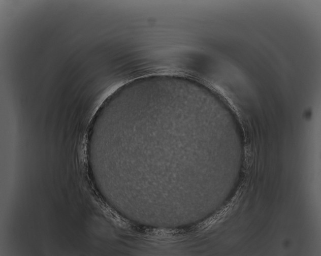 X0000097960875200804011655