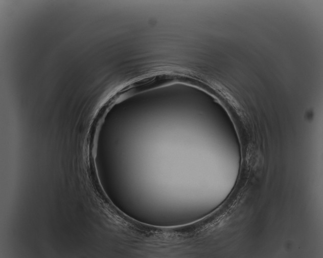 X0000097960877200804011655