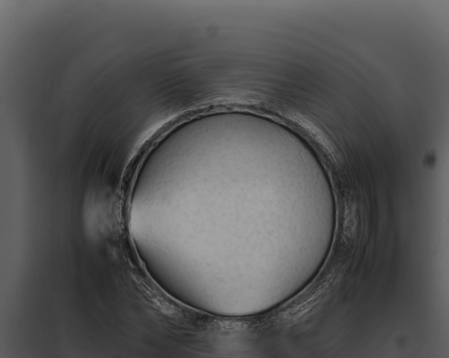 X0000097960878200804011655