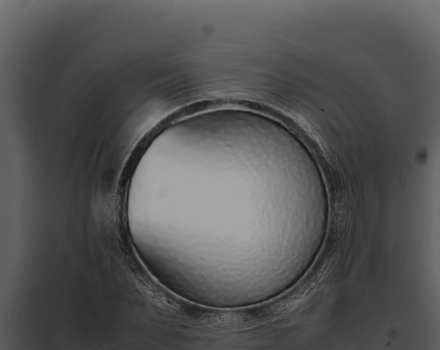 X0000097960879200804011655