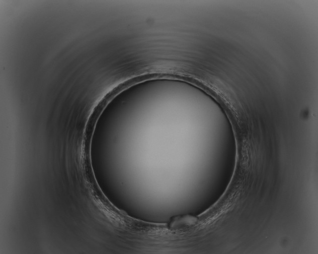 X0000097960880200804011655
