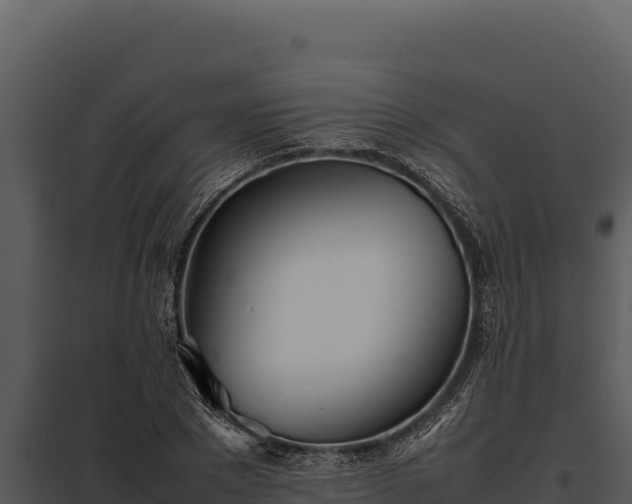X0000097960881200804011655