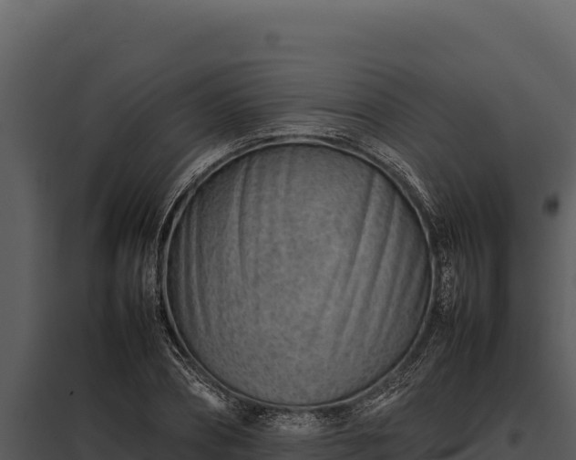 X0000097960882200804011655