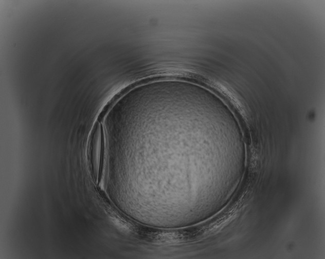 X0000097960883200804011655