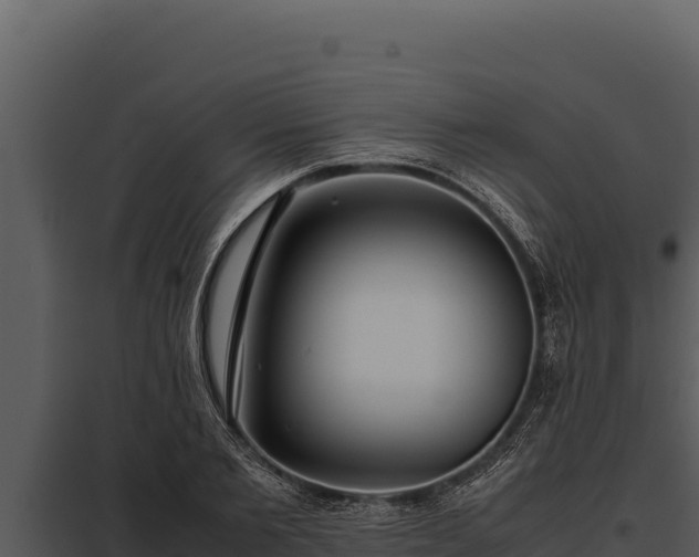 X0000097960885200804011655