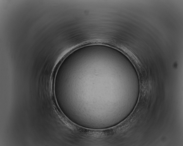 X0000097960886200804011655