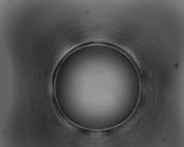 X0000097960887200804011655