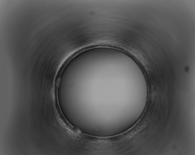 X0000097960888200804011655
