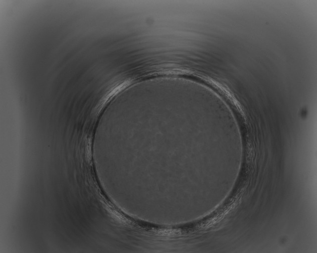 X0000097960889200804011655