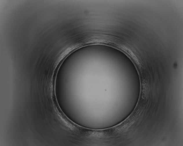 X0000097960890200804011655