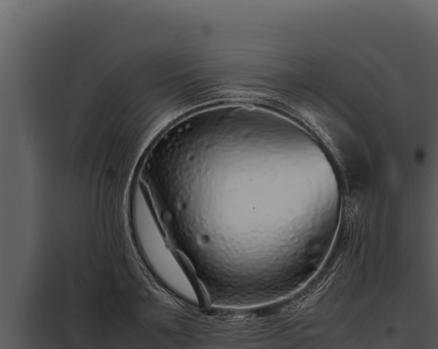 X0000097960891200804011655