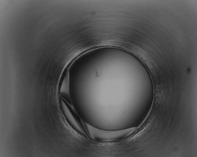 X0000097960892200804011655