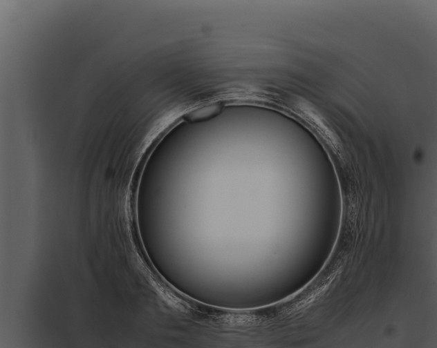 X0000097960893200804011655