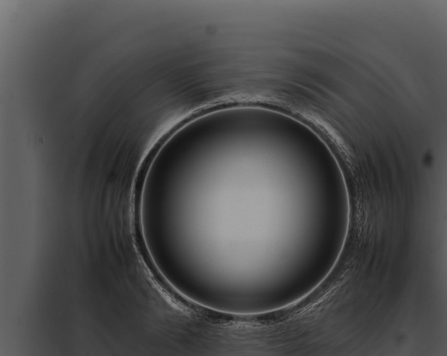X0000097960894200804011655