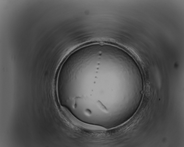 X0000097960895200804011655