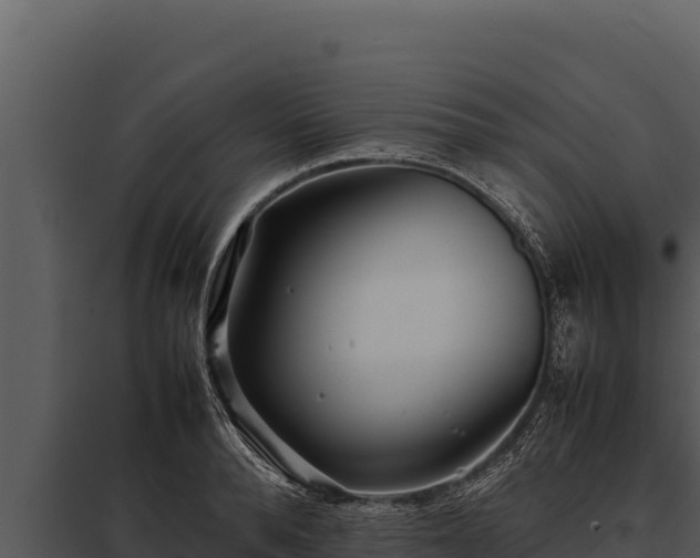 X0000097960896200804011655