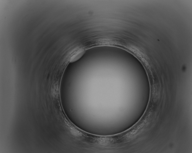 X0000097960897200804011655