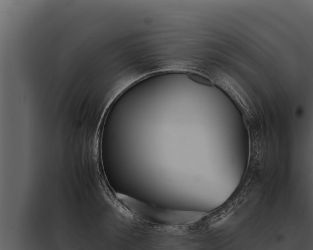 X0000097960900200804011655