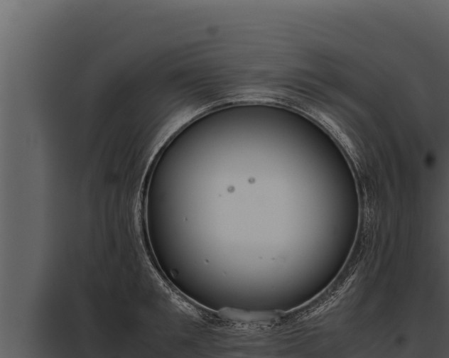 X0000097960901200804011655