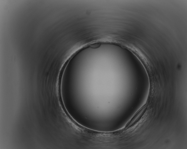 X0000097960902200804011655