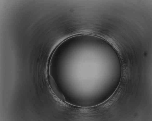 X0000097960904200804011655