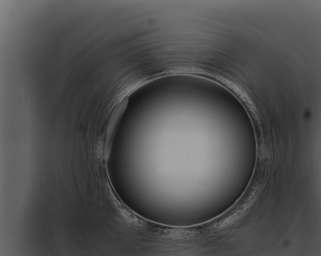X0000097960905200804011655