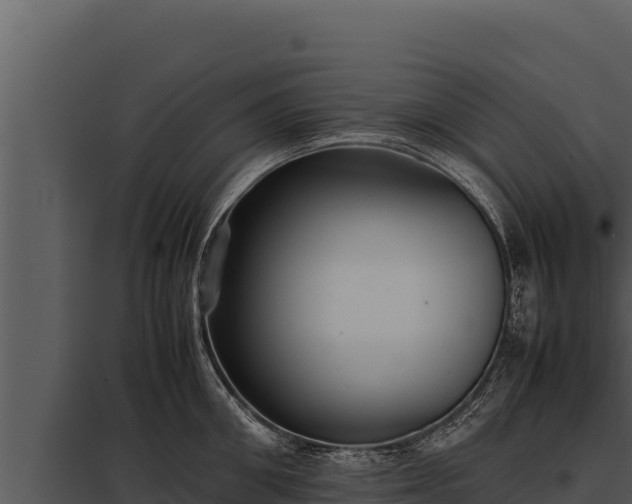 X0000097960906200804011655